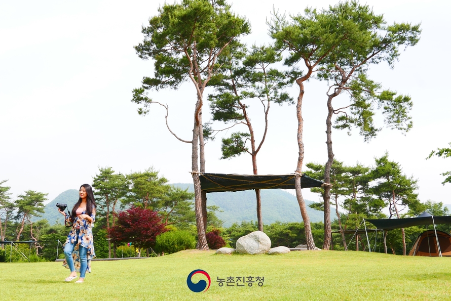 숲속의베리팜