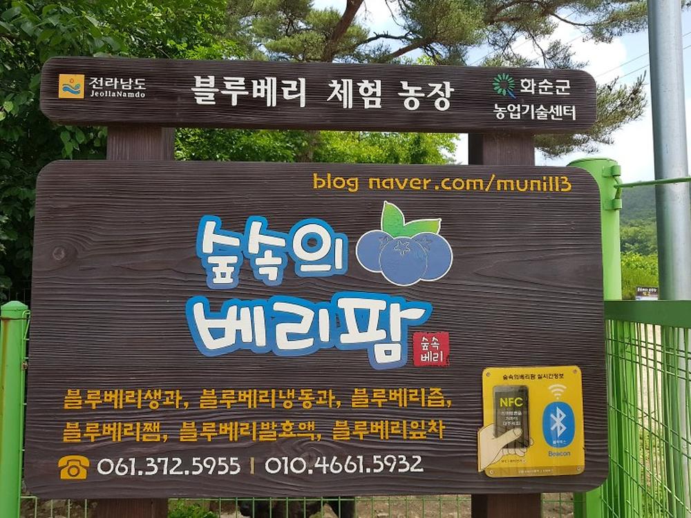 숲속의베리팜