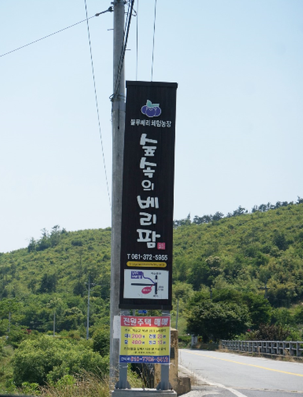 숲속의베리팜