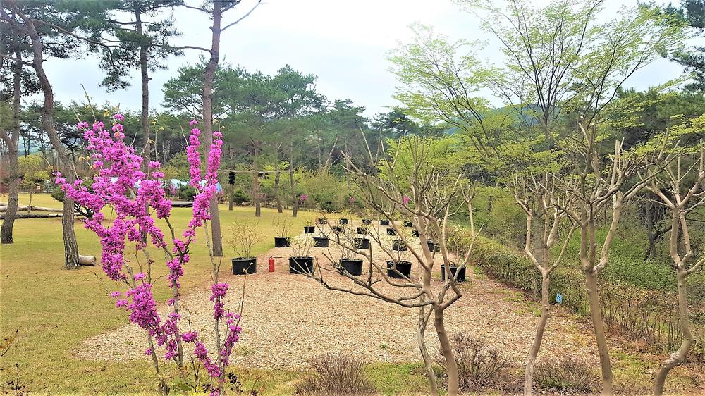숲속의베리팜