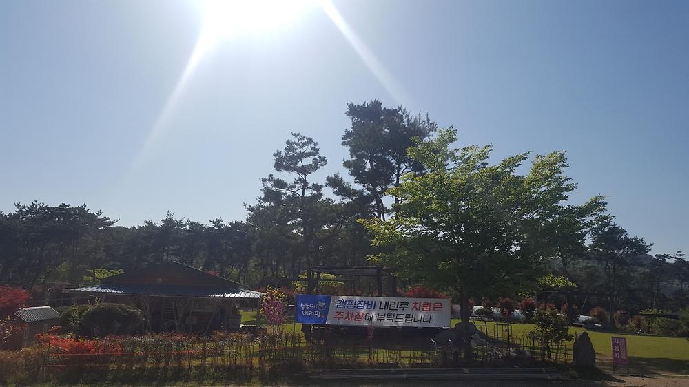 숲속의베리팜