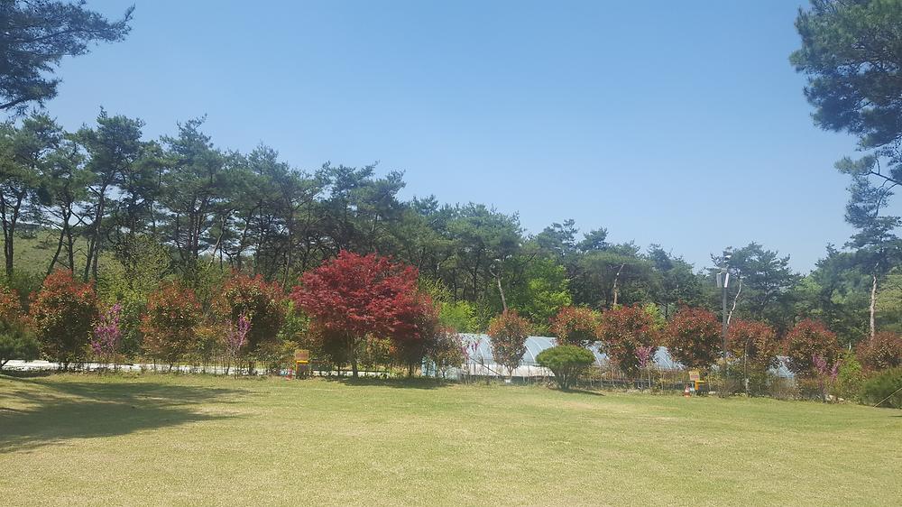 숲속의베리팜