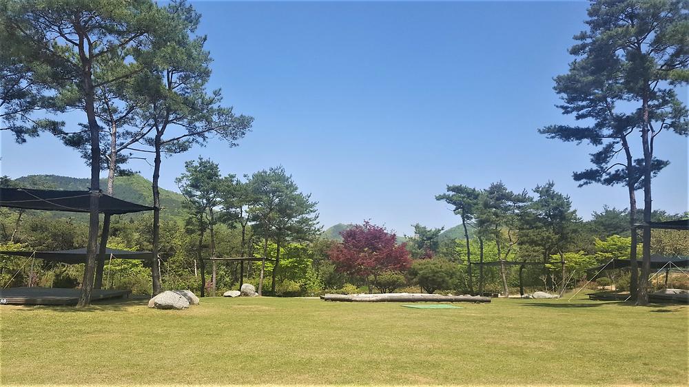 숲속의베리팜