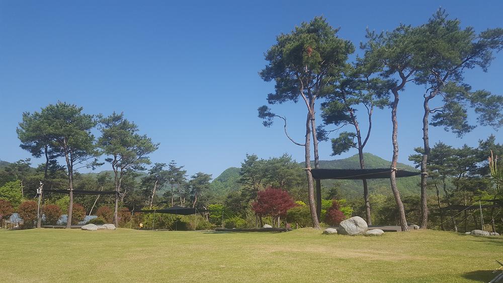 숲속의베리팜