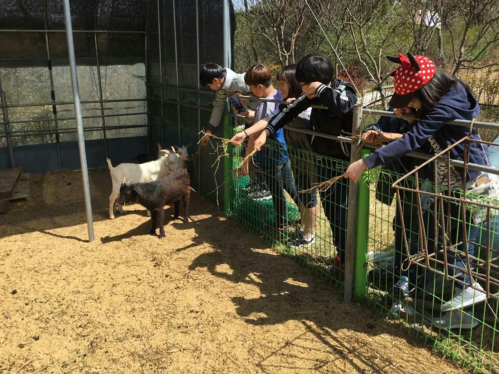 숲속의베리팜