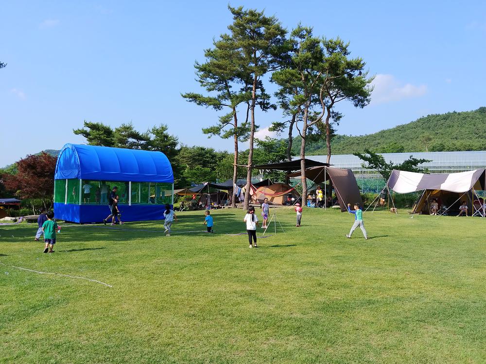 숲속의베리팜