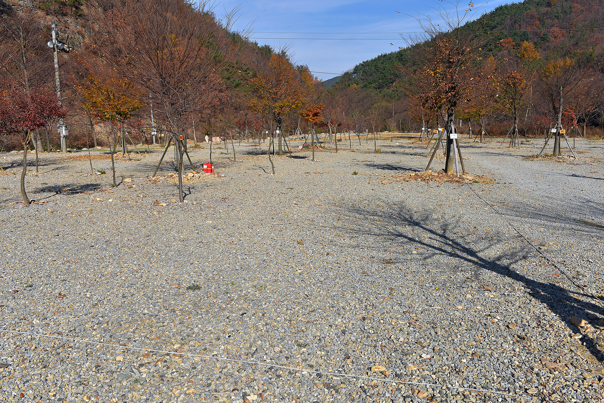 숲이조아캠핑장