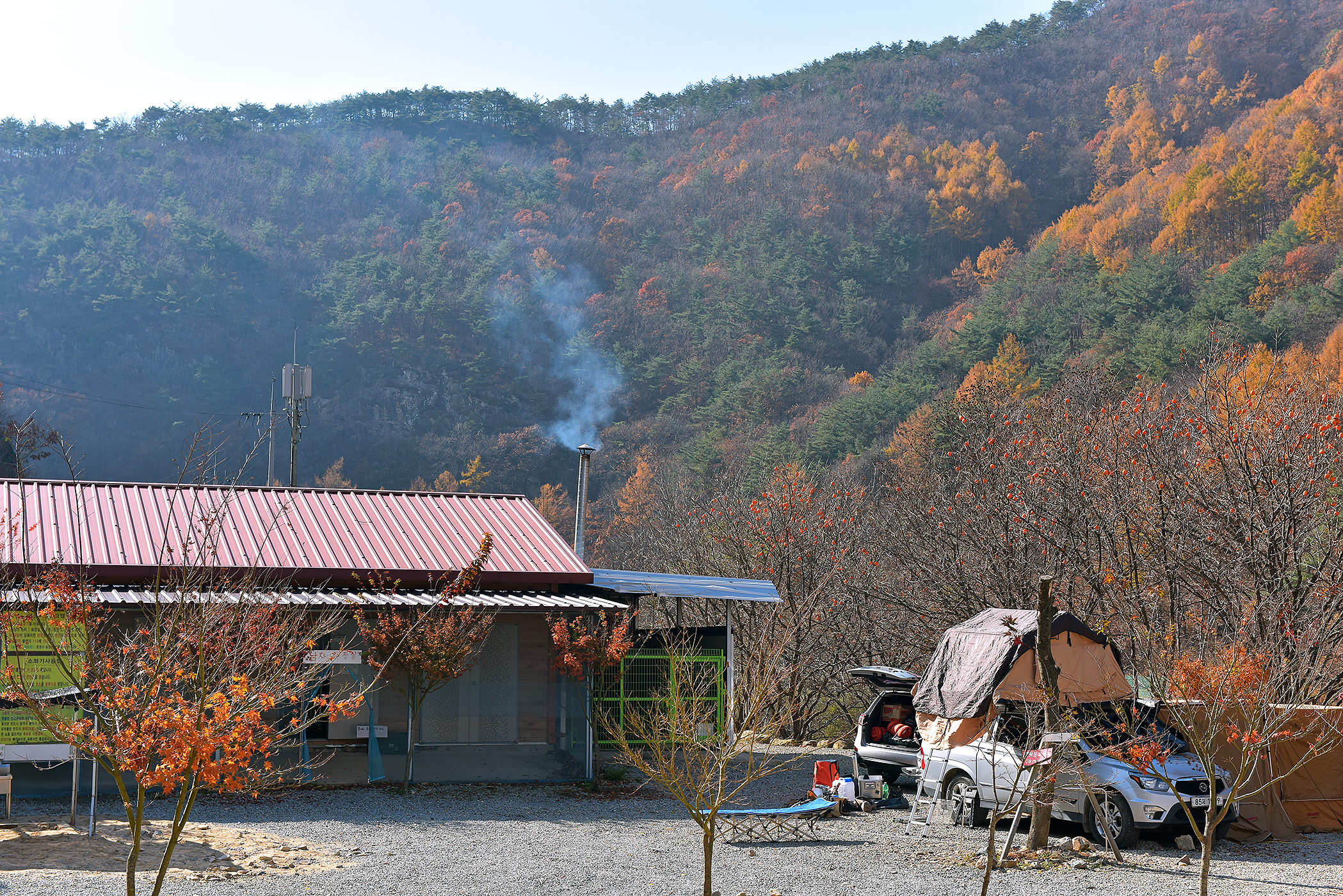 숲이조아캠핑장