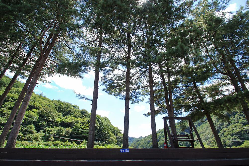스카이 운학 오토캠핑장