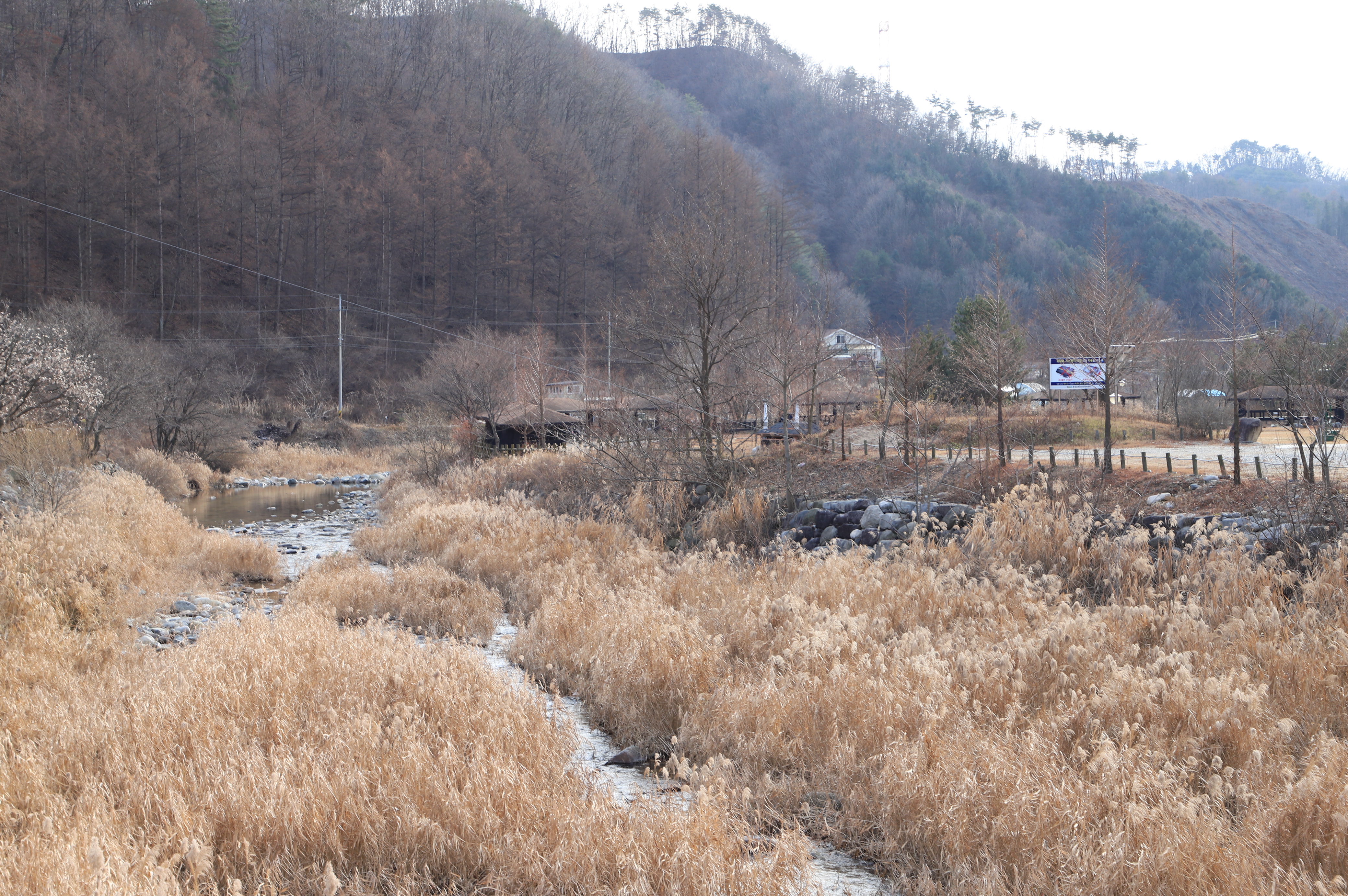 신대리야영장(주식회사 태기산마을 농업회사법인)