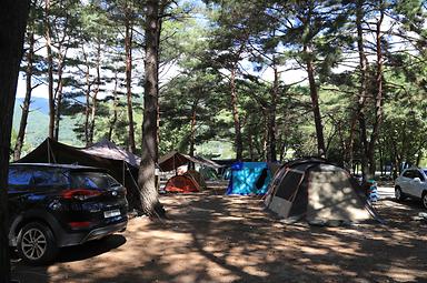 캠핑장소개 이미지