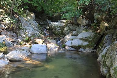 캠핑장소개 이미지