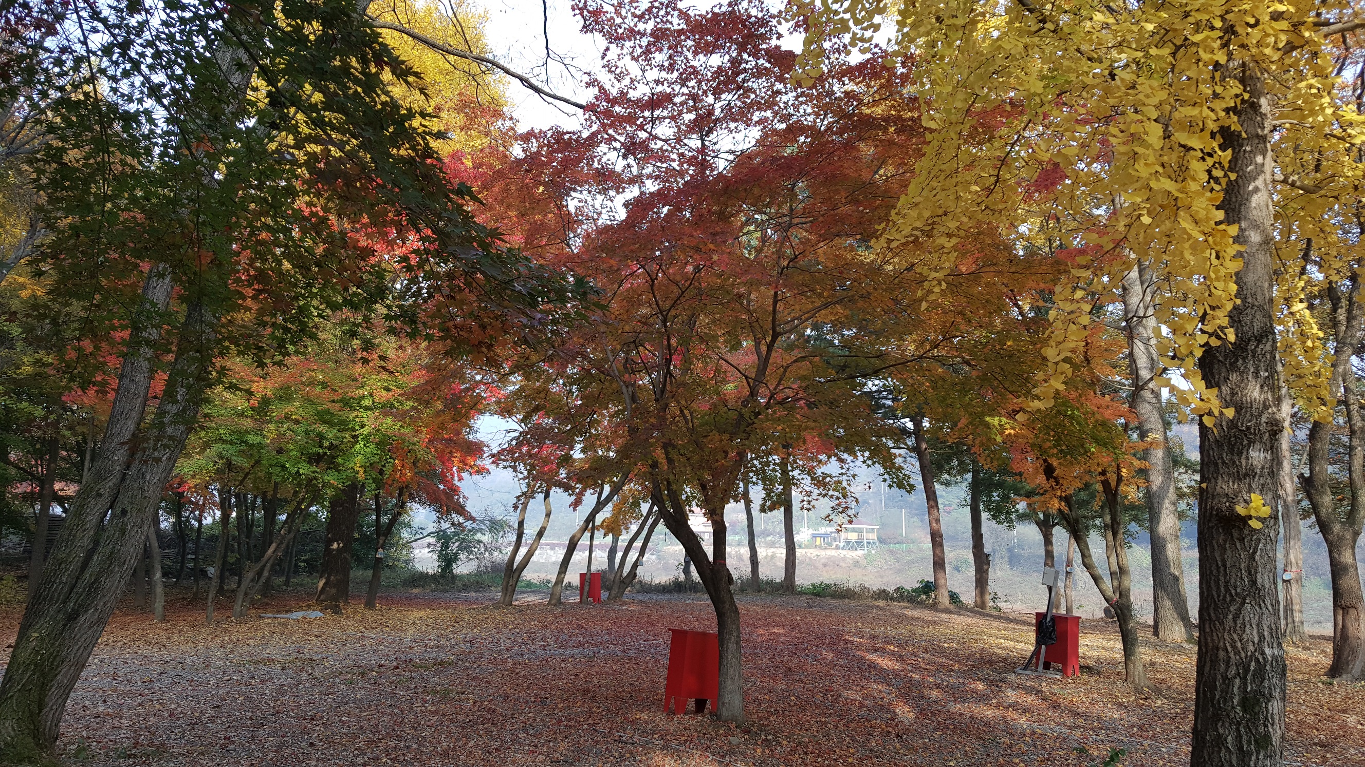 써니밸리오토캠핑장