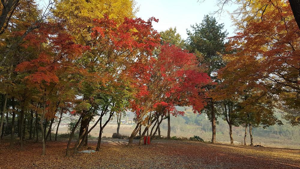 써니밸리오토캠핑장