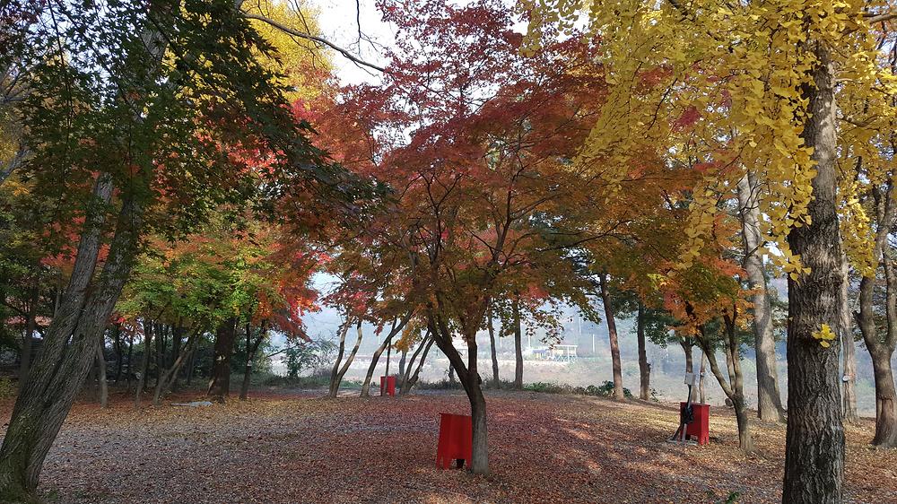 써니밸리오토캠핑장