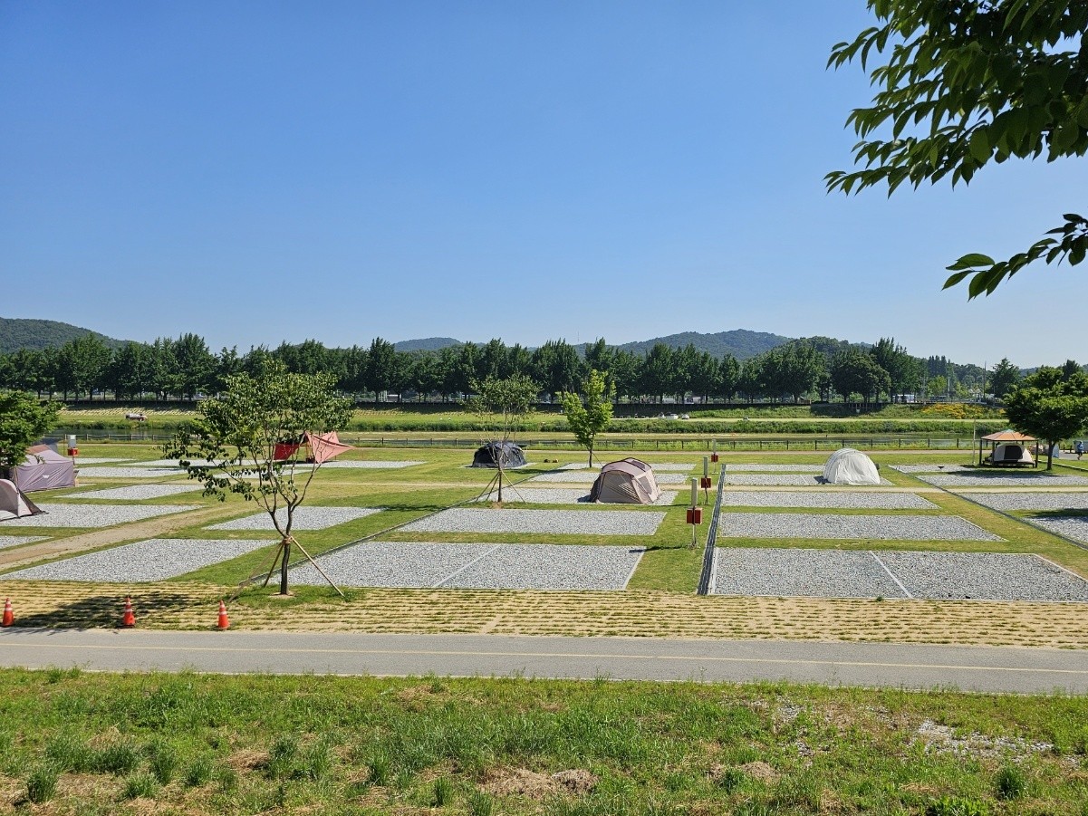 아산곡교천야영장