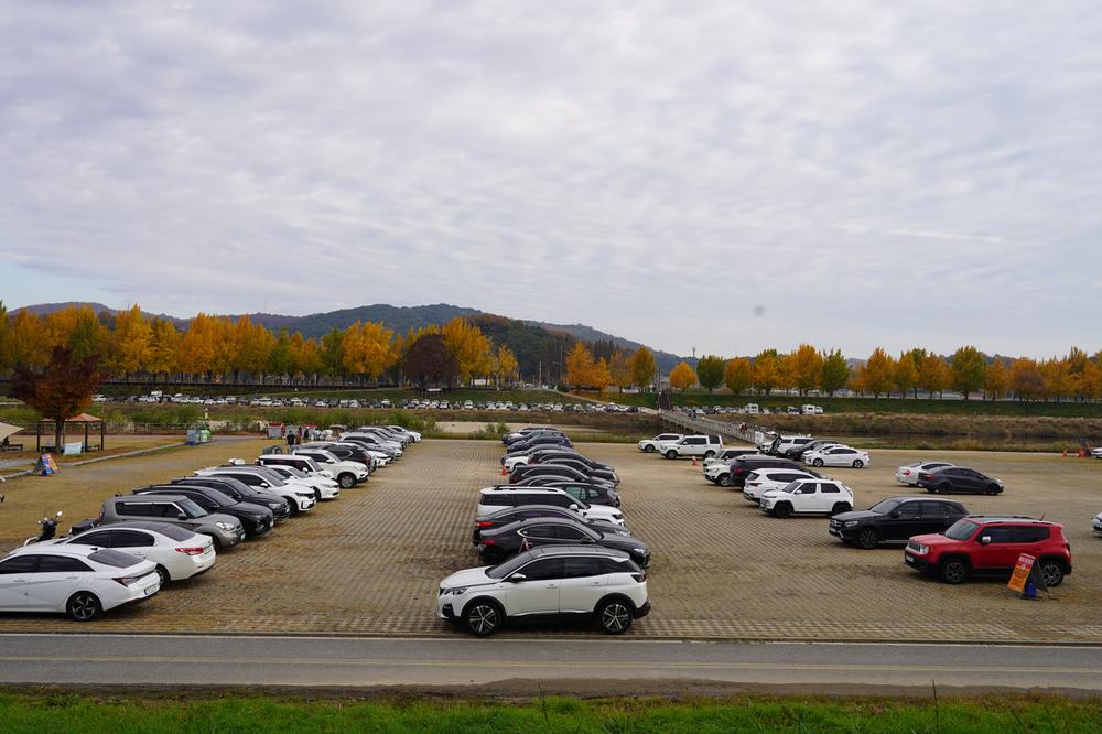 아산곡교천야영장