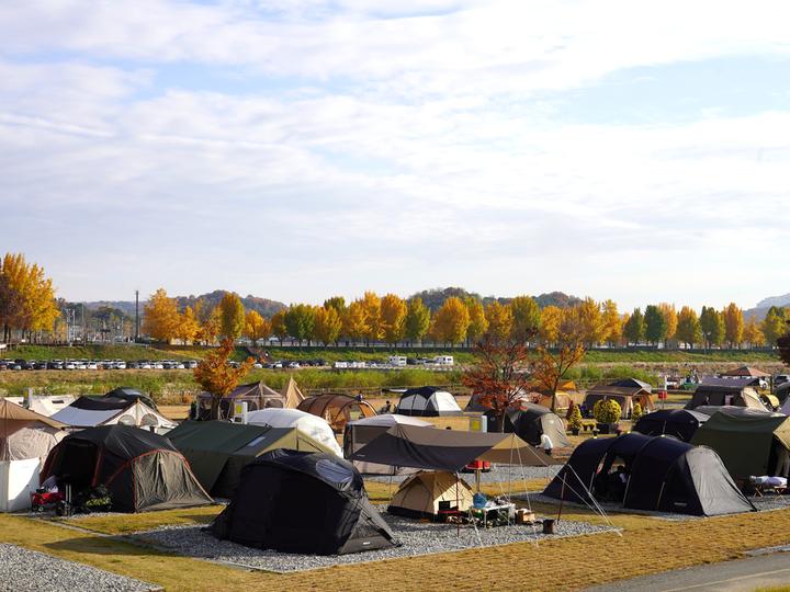 아산곡교천야영장 메인 이미지
