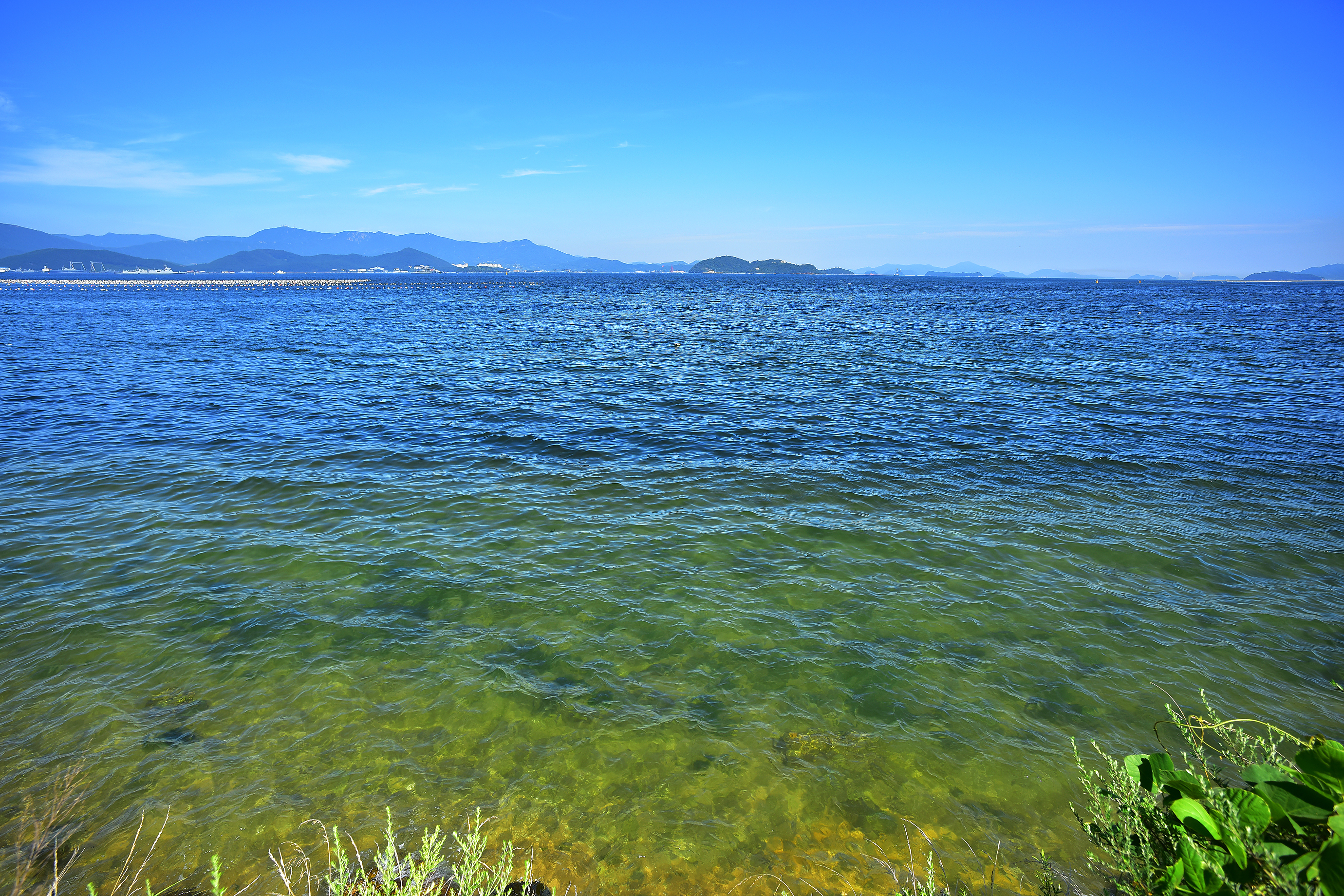 타이거스피드 안녕오토캠핑장