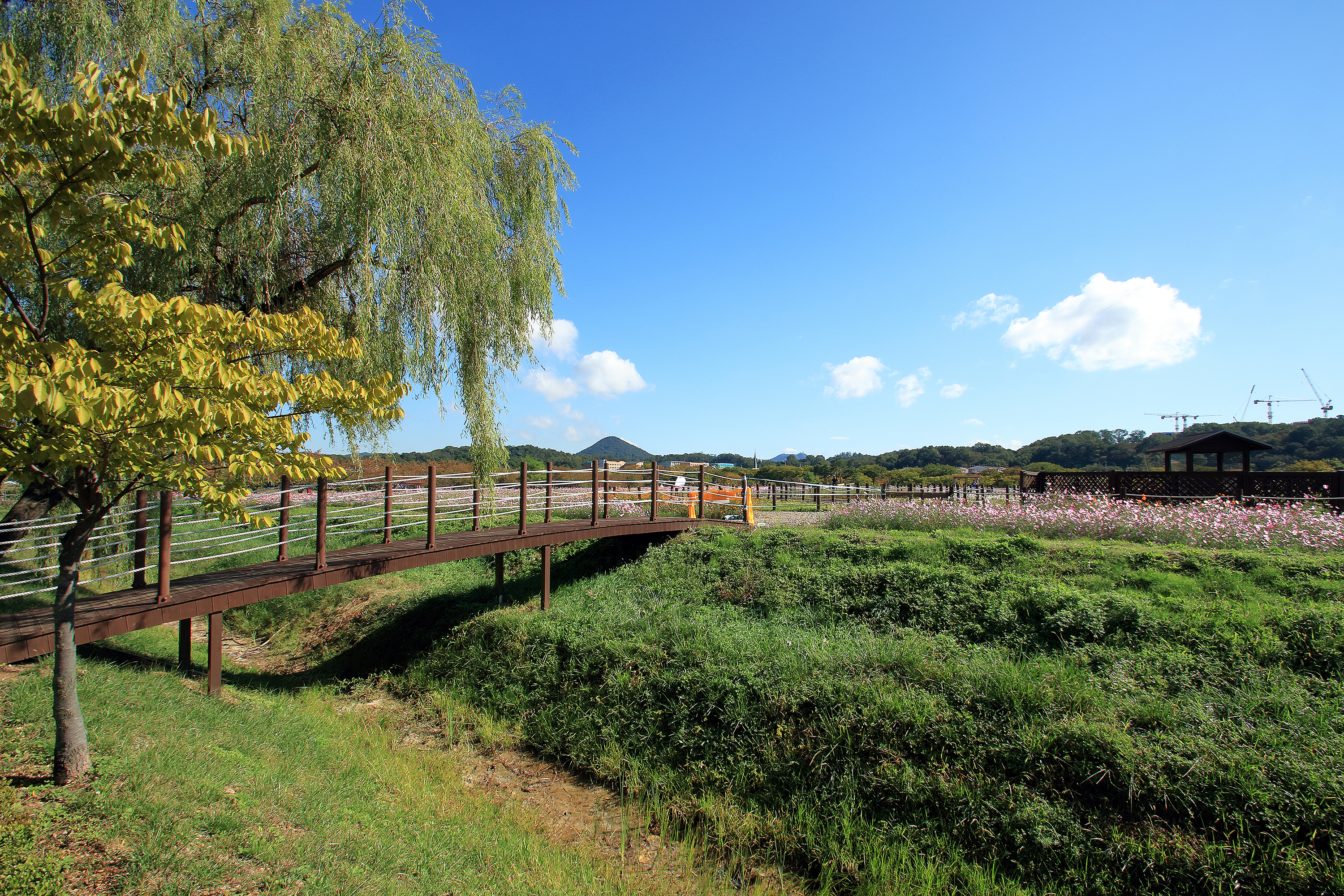 안산화랑오토캠핑장