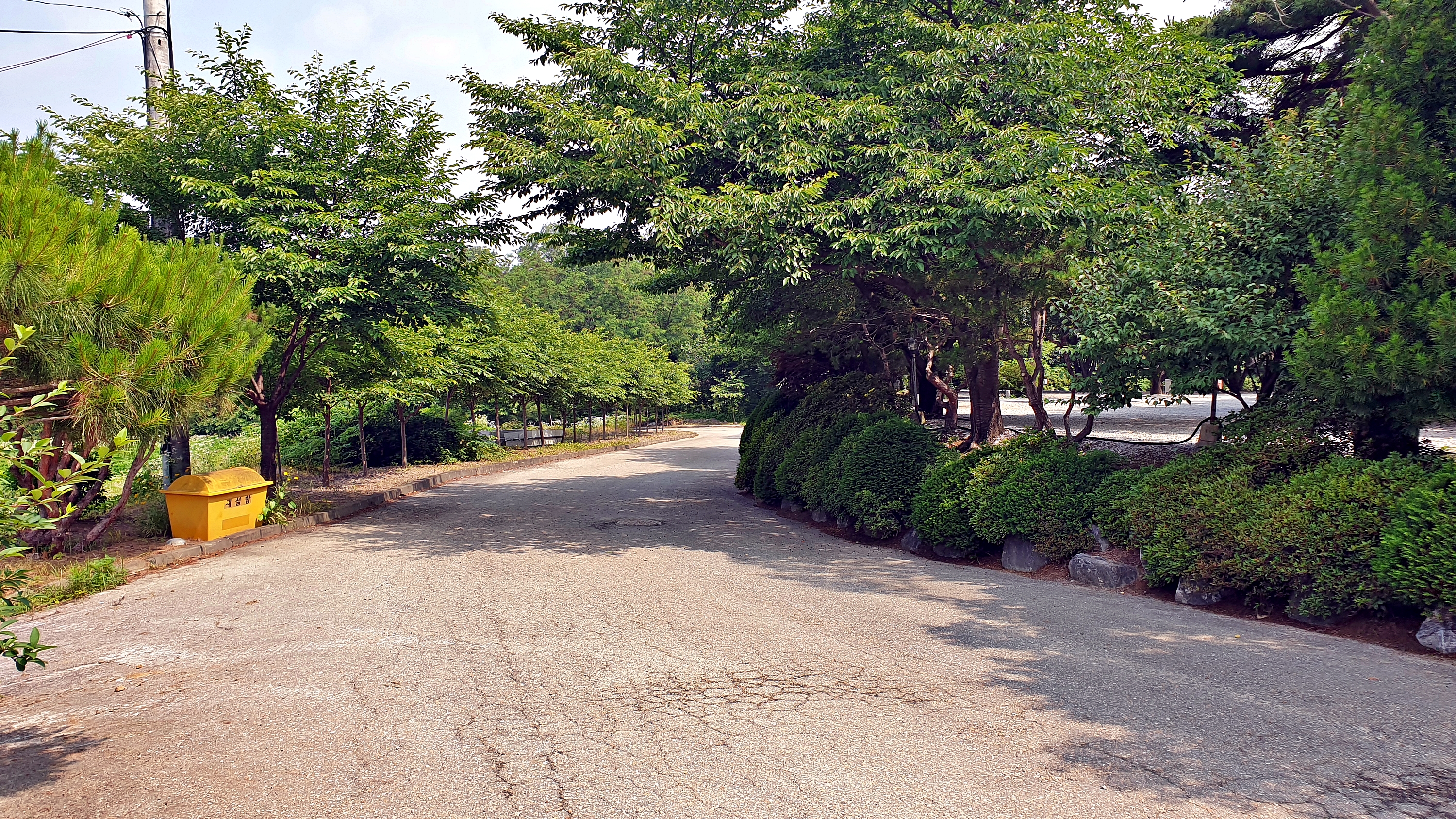 안성비봉산 캠핑장