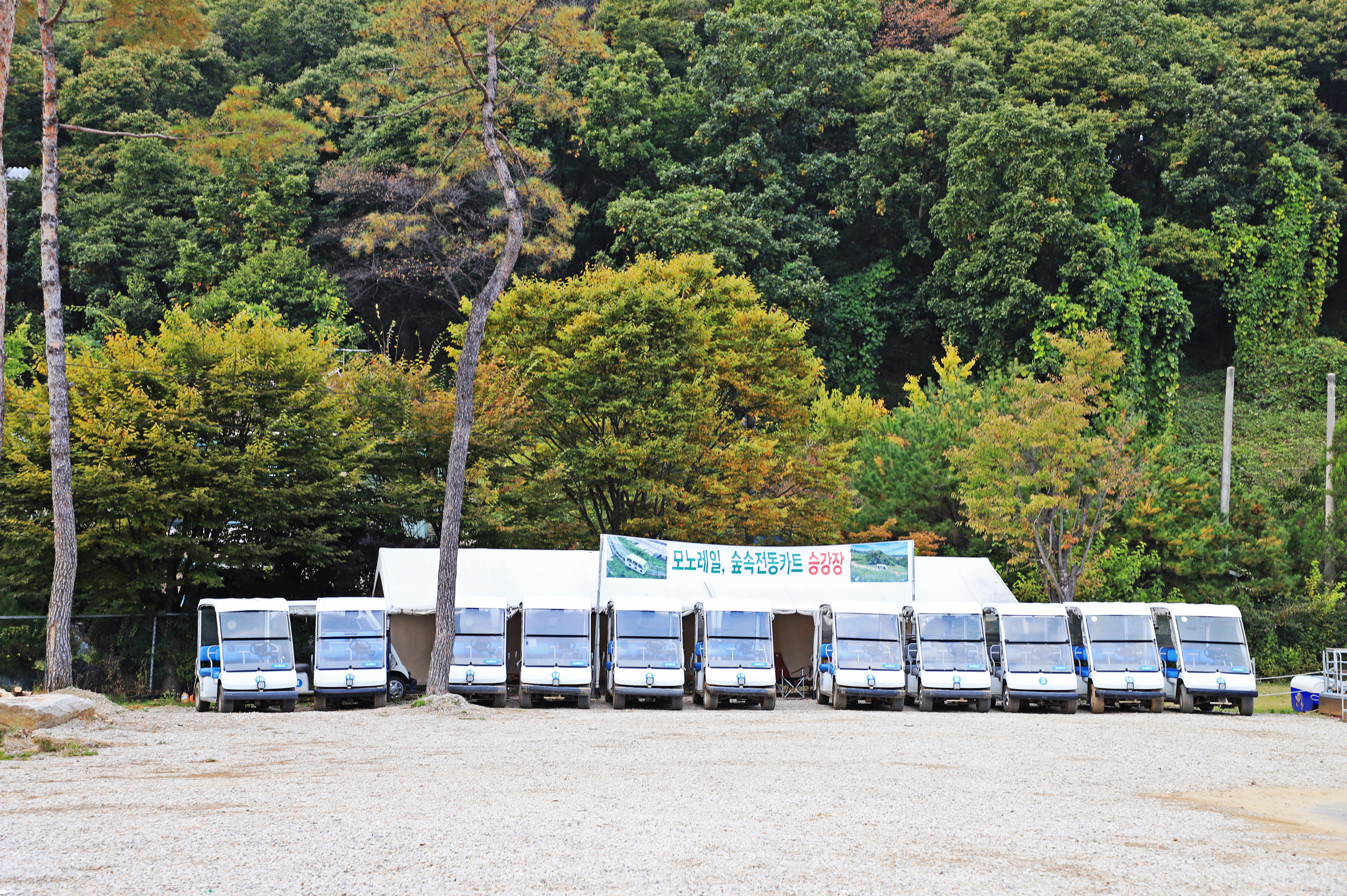 알멕스랜드캠핑장