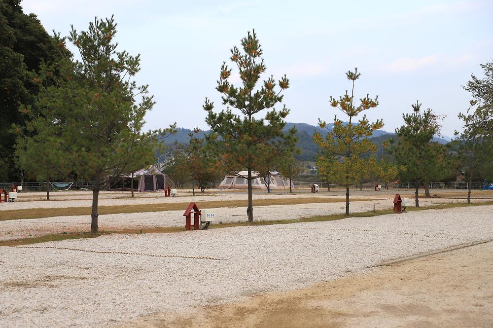 알멕스랜드캠핑장