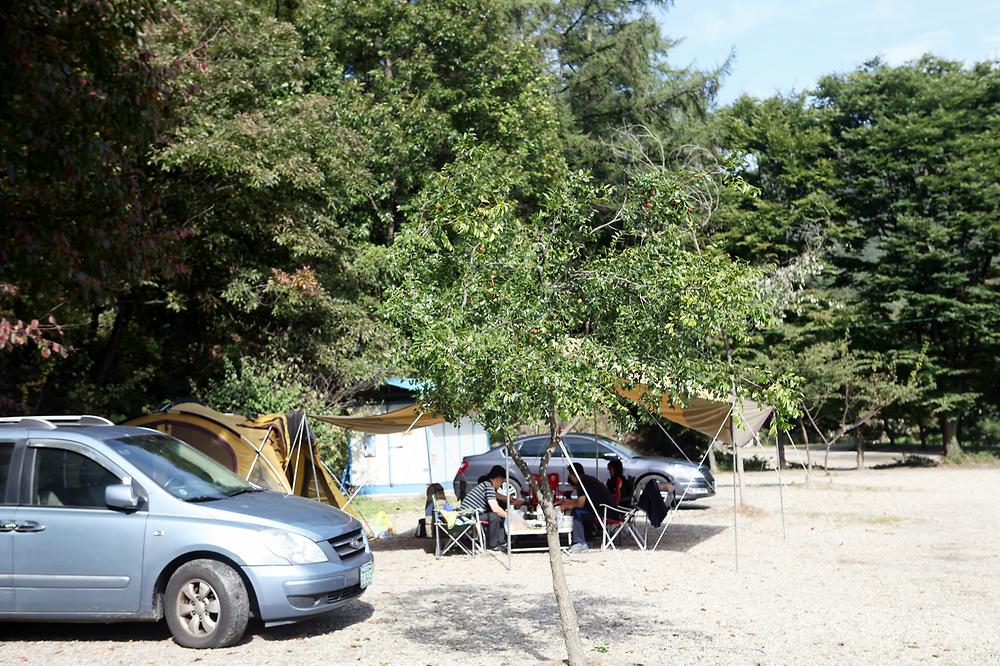 양주산막골캠핑장