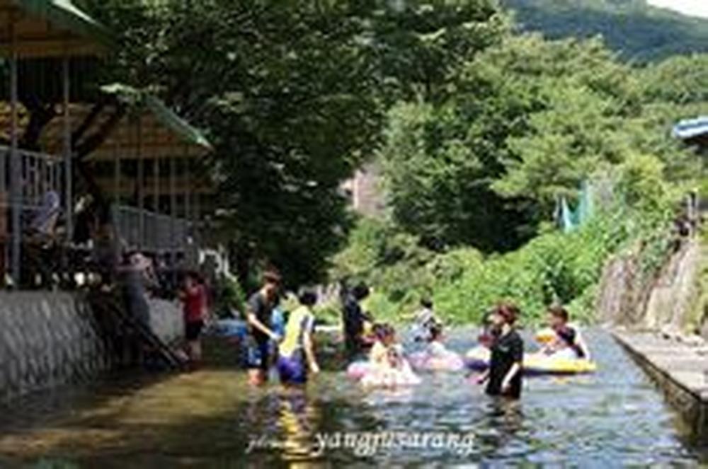 양주산막골캠핑장