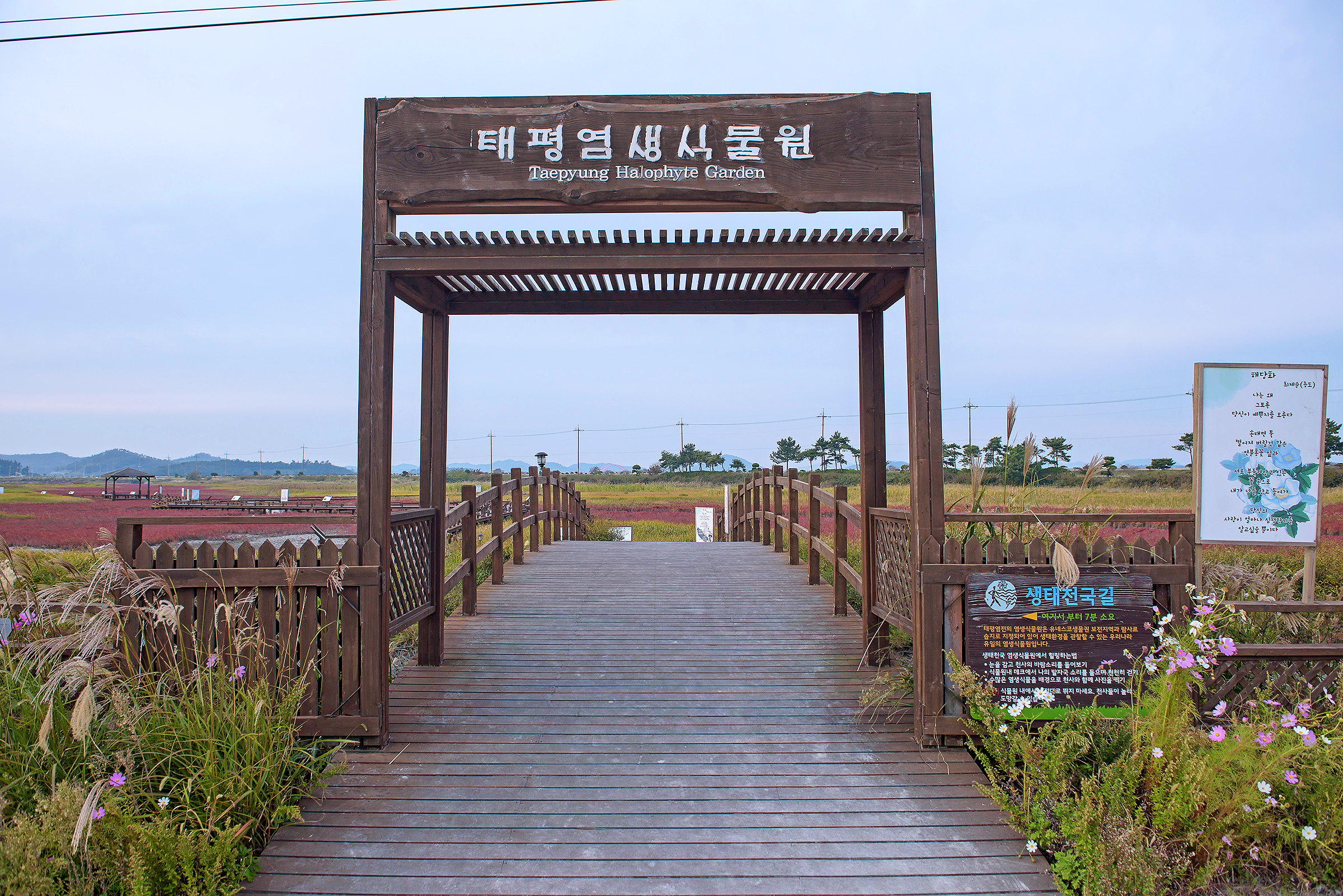 천일염힐링캠프