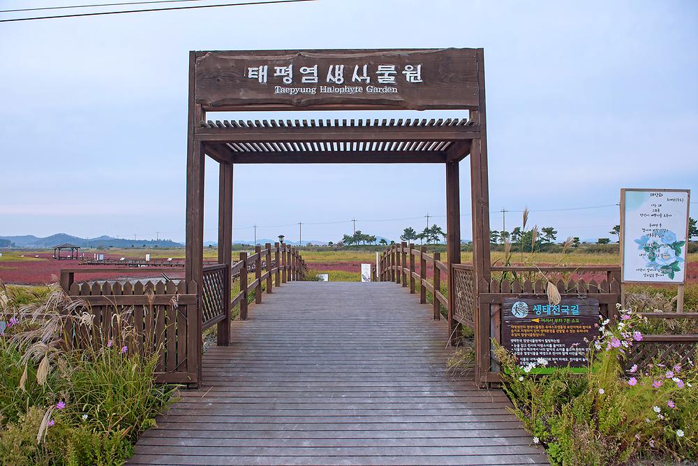 (주)태평소금 천일염 힐링캠프
