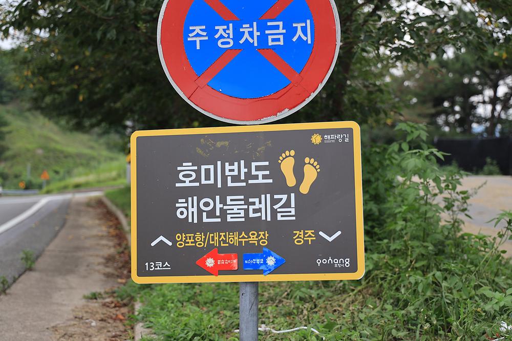 에덴오토캠핑장