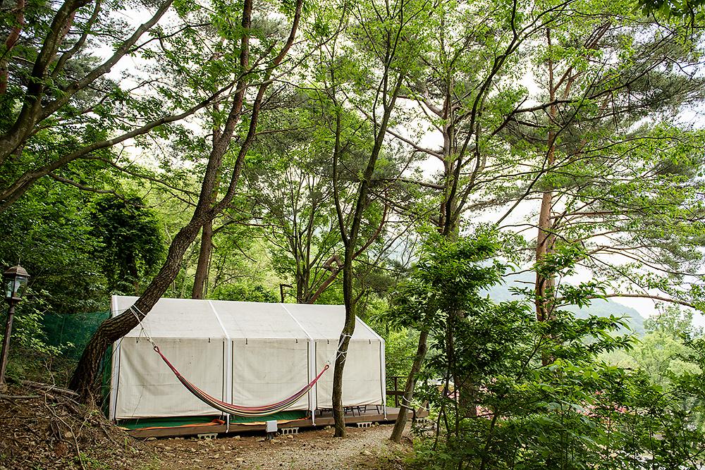 경주 힐링캠프