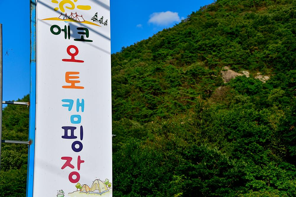 에코오토캠핑장