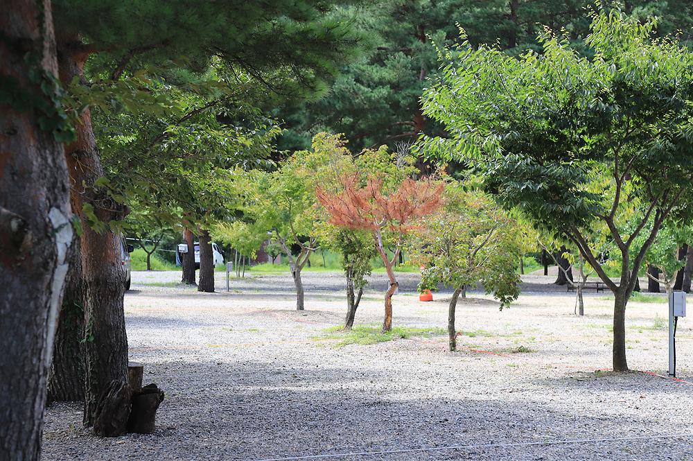 삼척엘림캠핑장