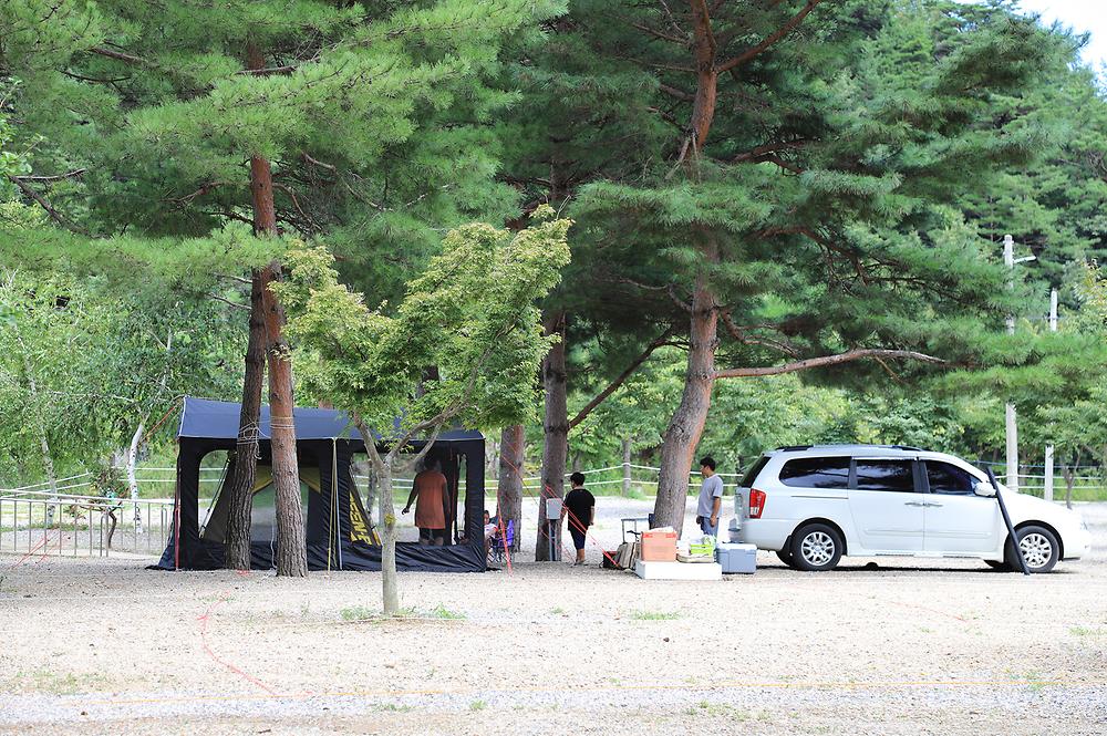 삼척엘림캠핑장