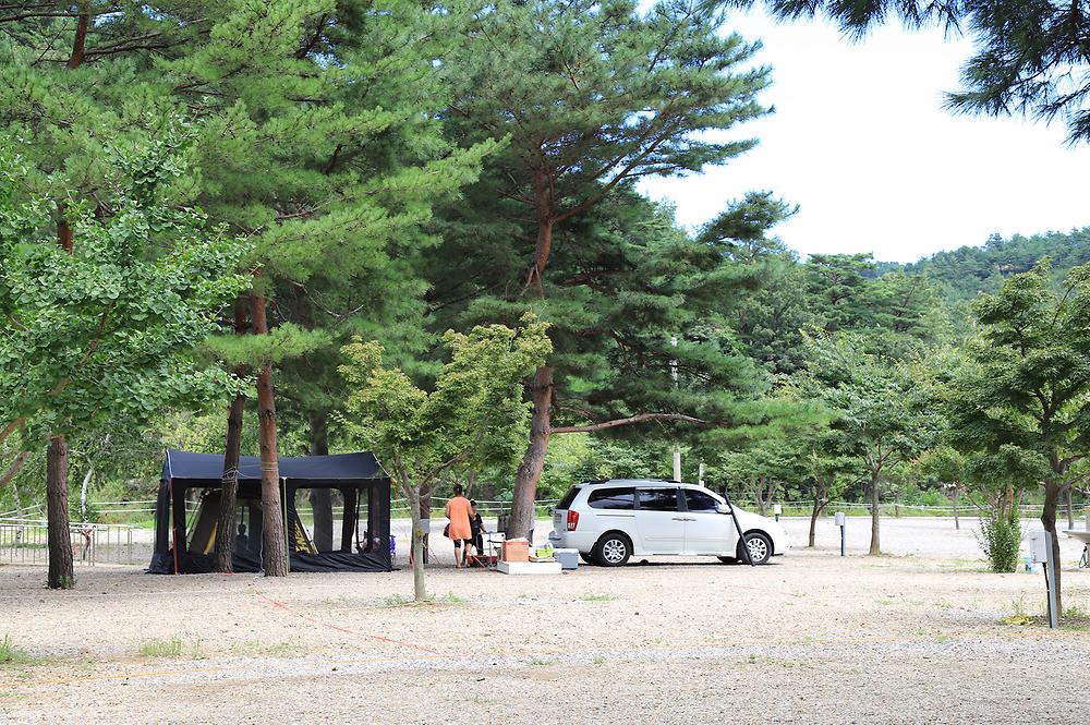 삼척엘림캠핑장