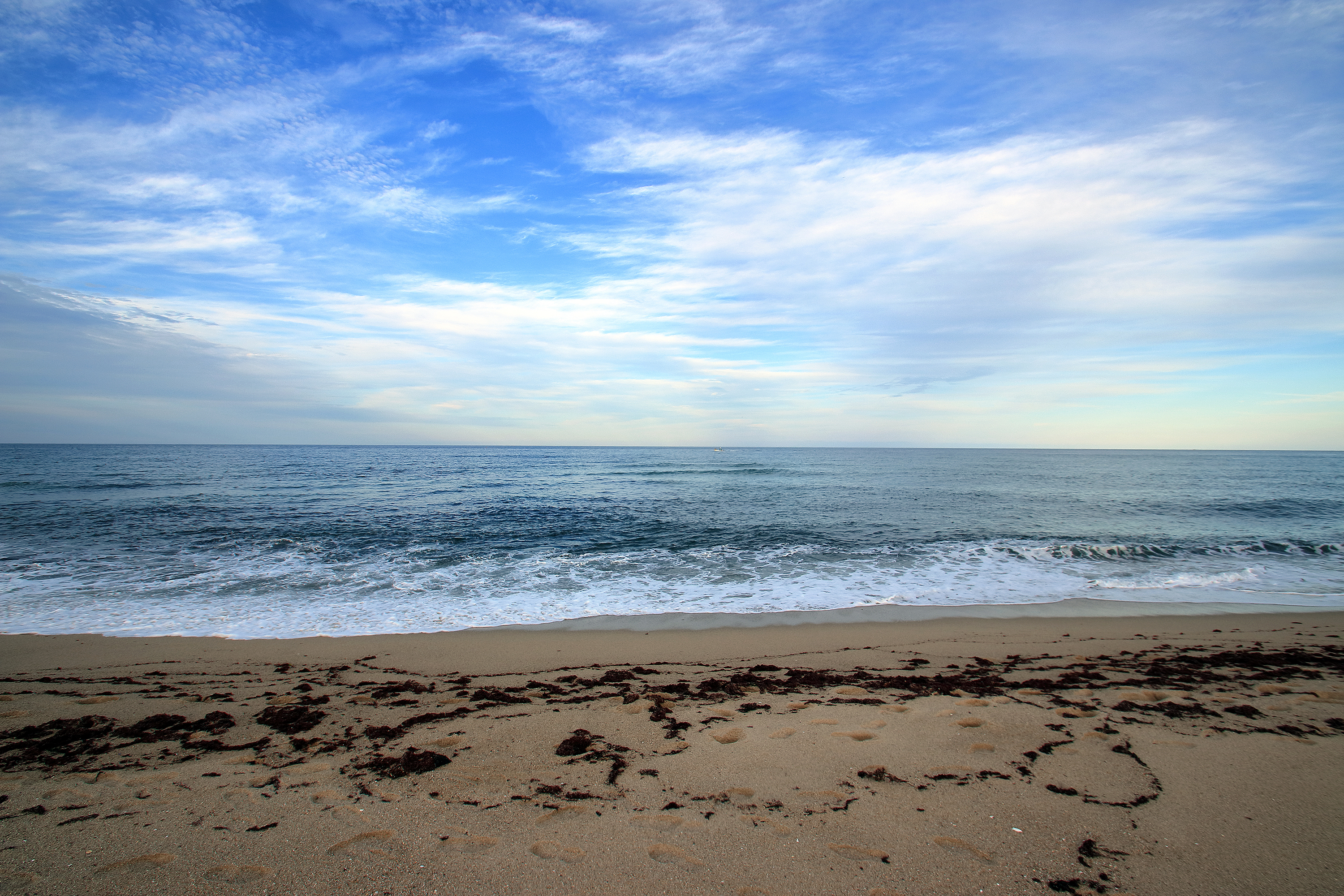 연곡해변 솔향기캠핑장