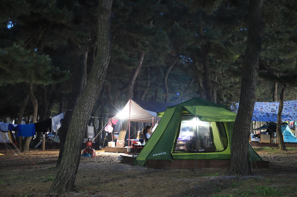 연곡해변 솔향기캠핑장