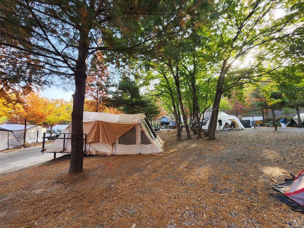 김포캠핑파크 주식회사