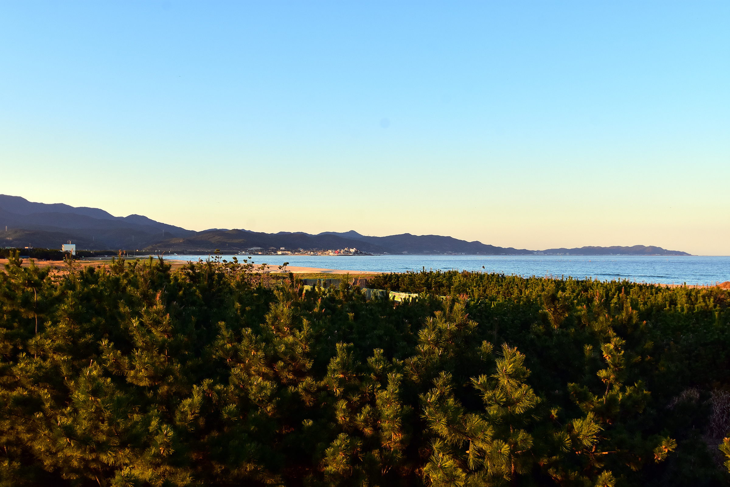 영덕 고래불 국민 야영장