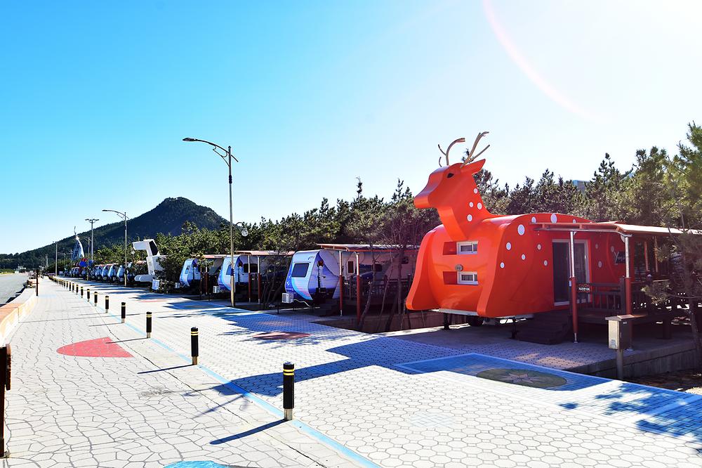 영덕 고래불 국민 야영장