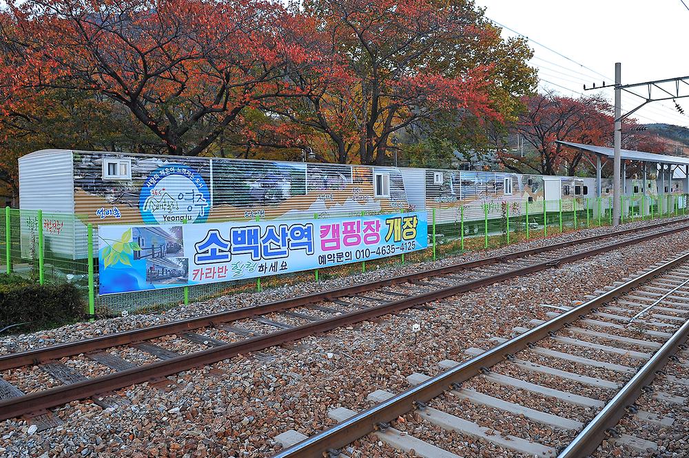 영주시 소백산역 캠핑장