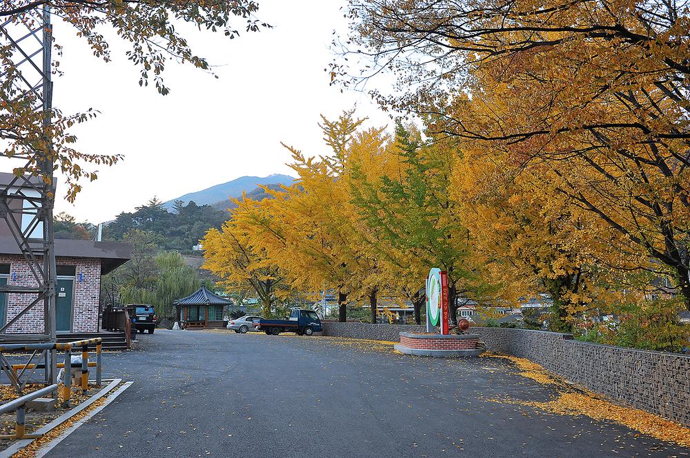 영주시 소백산역 캠핑장