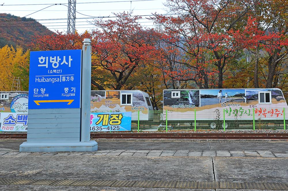 영주시 소백산역 캠핑장