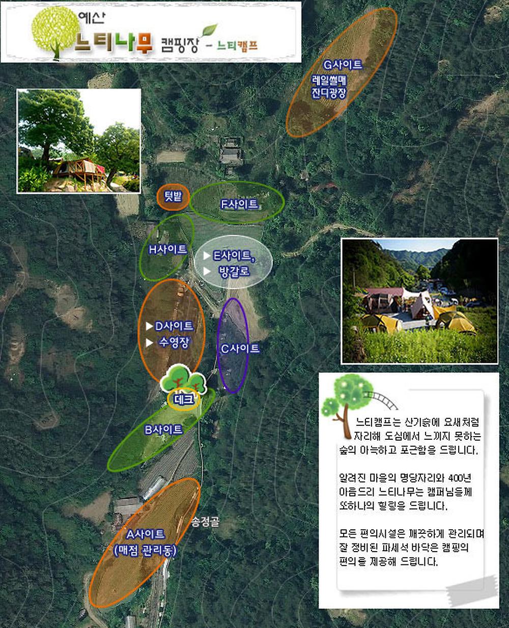 예산 느티나무 캠핑장