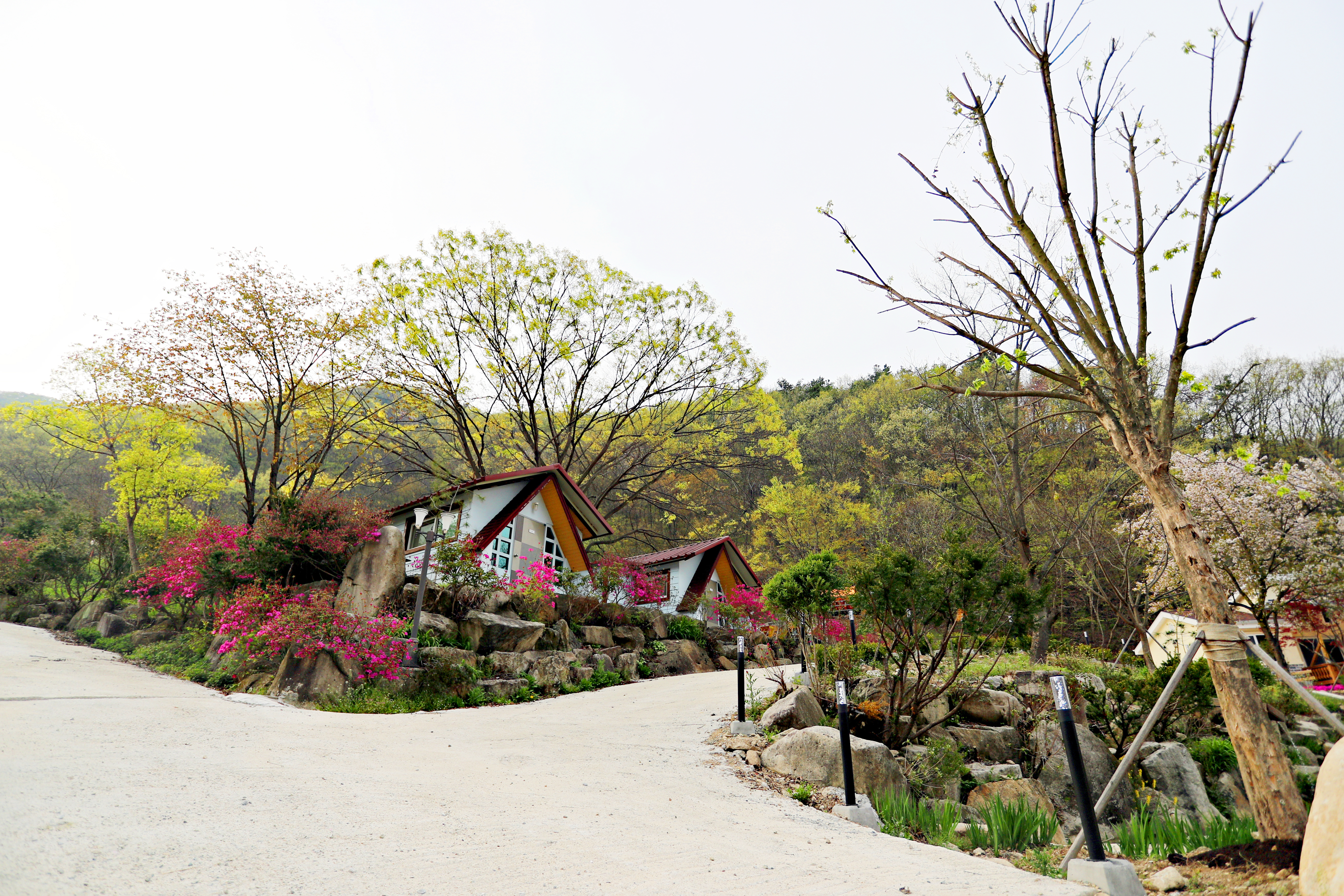 예원캠핑장