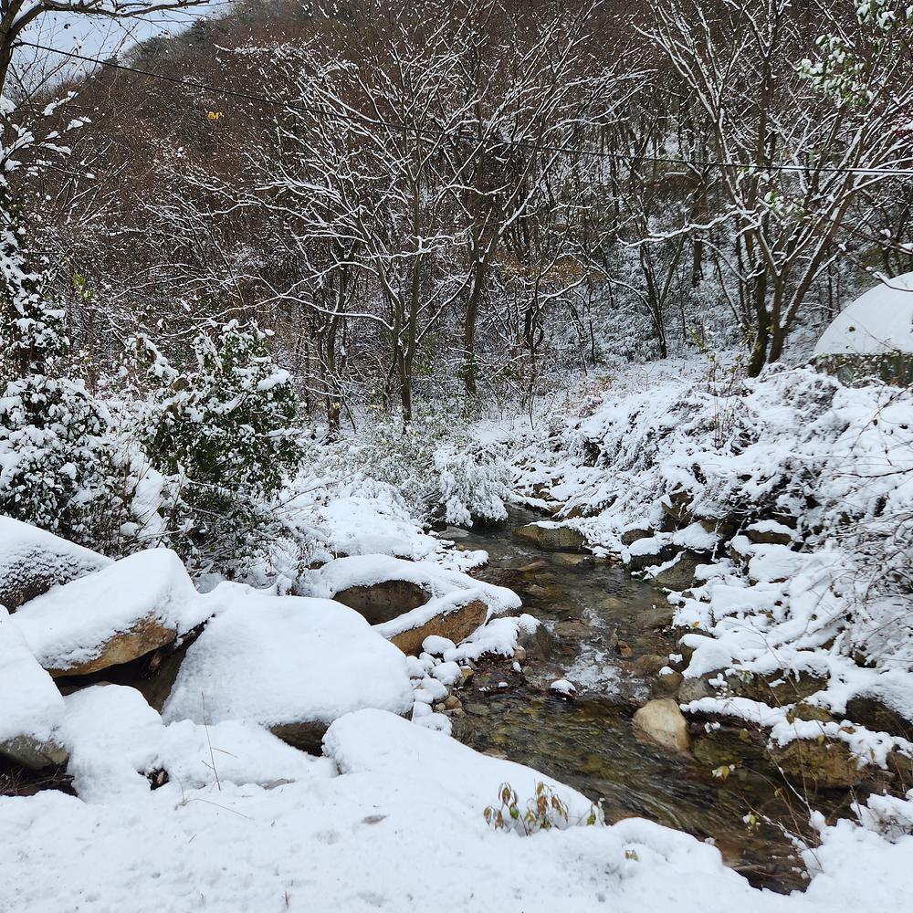 예원캠핑장