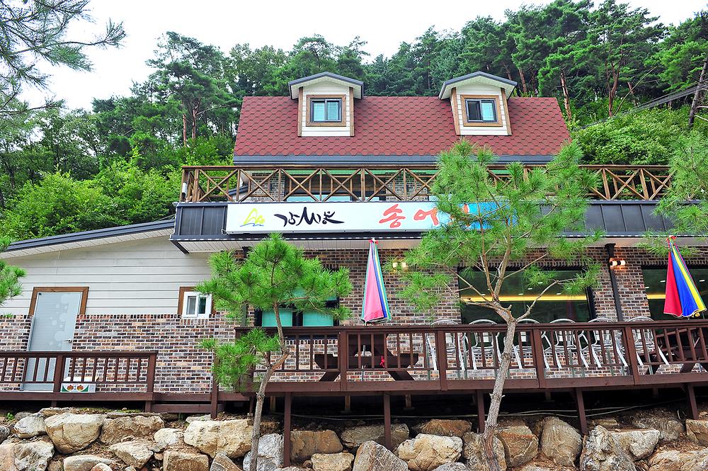 계곡과소나무 캠핑장