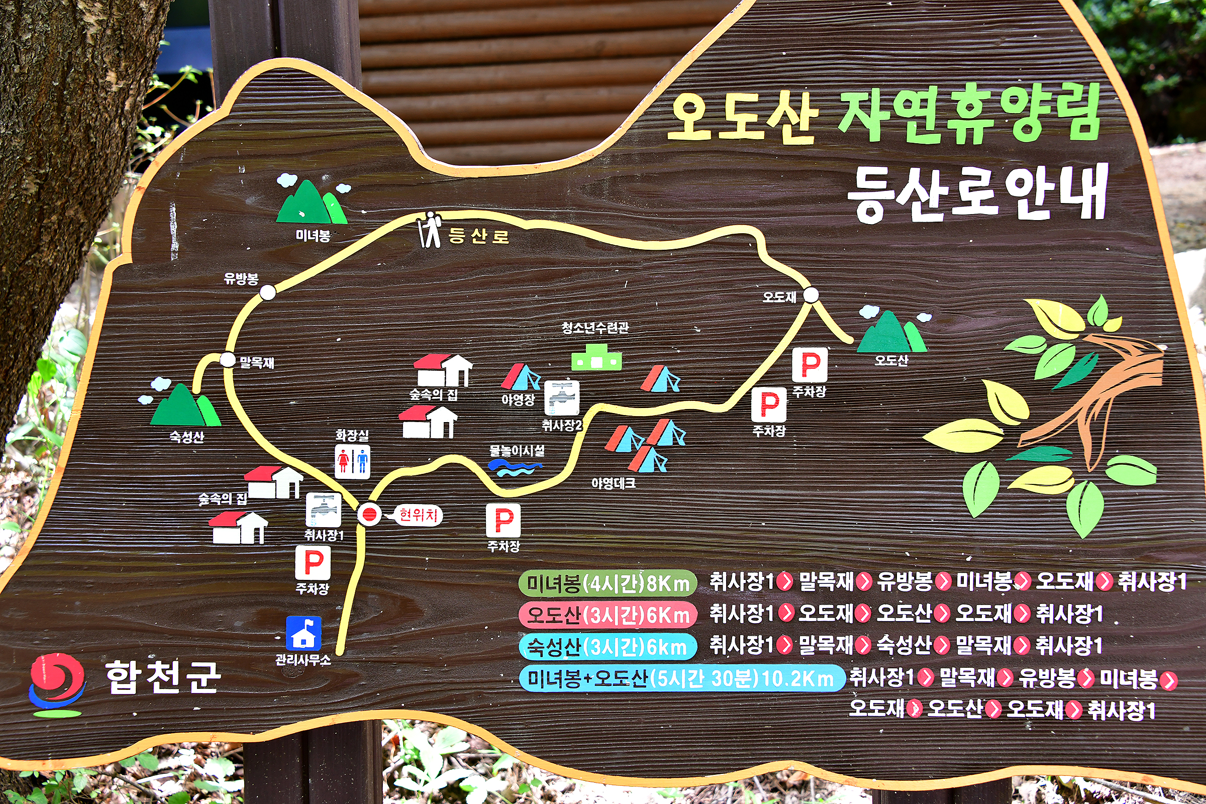 안전 및 시설배치도입니다